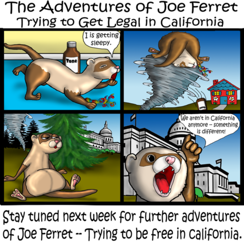 Joe Ferret leaves real world California for alternate universe California to learn what is really behind the ferret ban in California