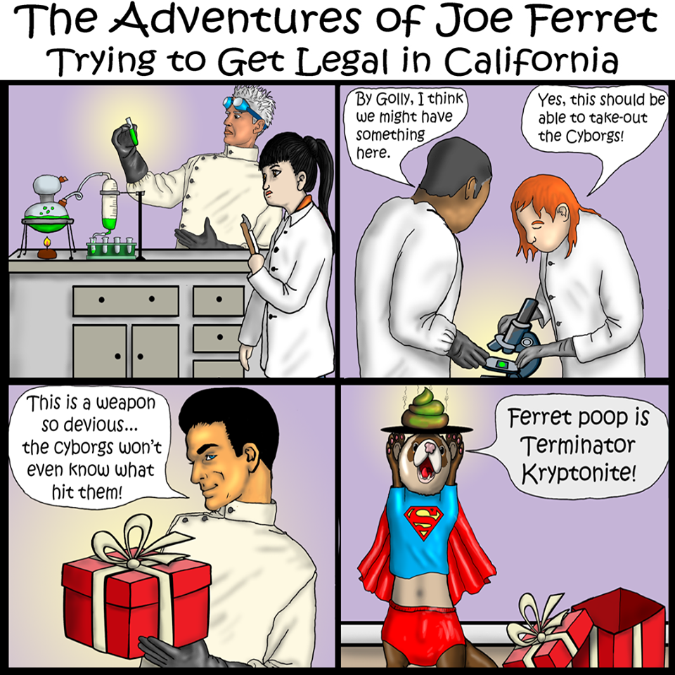 Joe Ferret, Episode 6