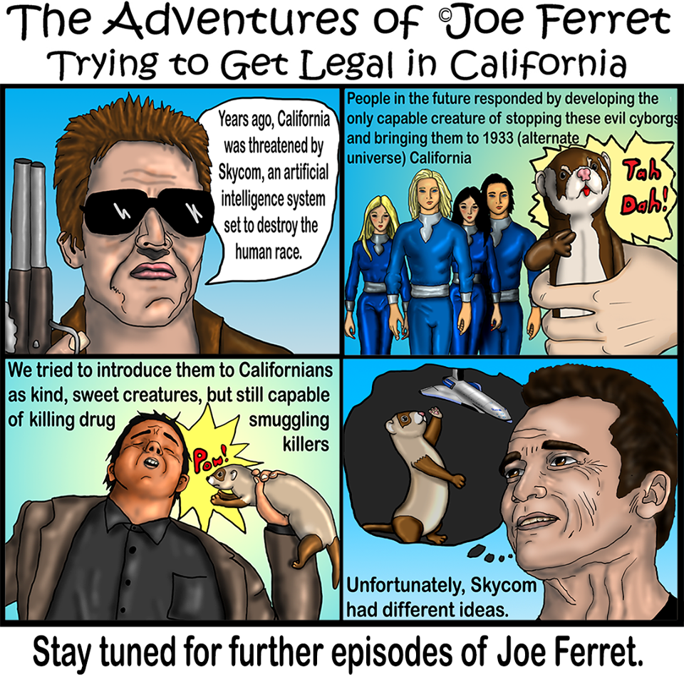 Joe Ferret, Episode 5, the real reason ferrets are banned in California.