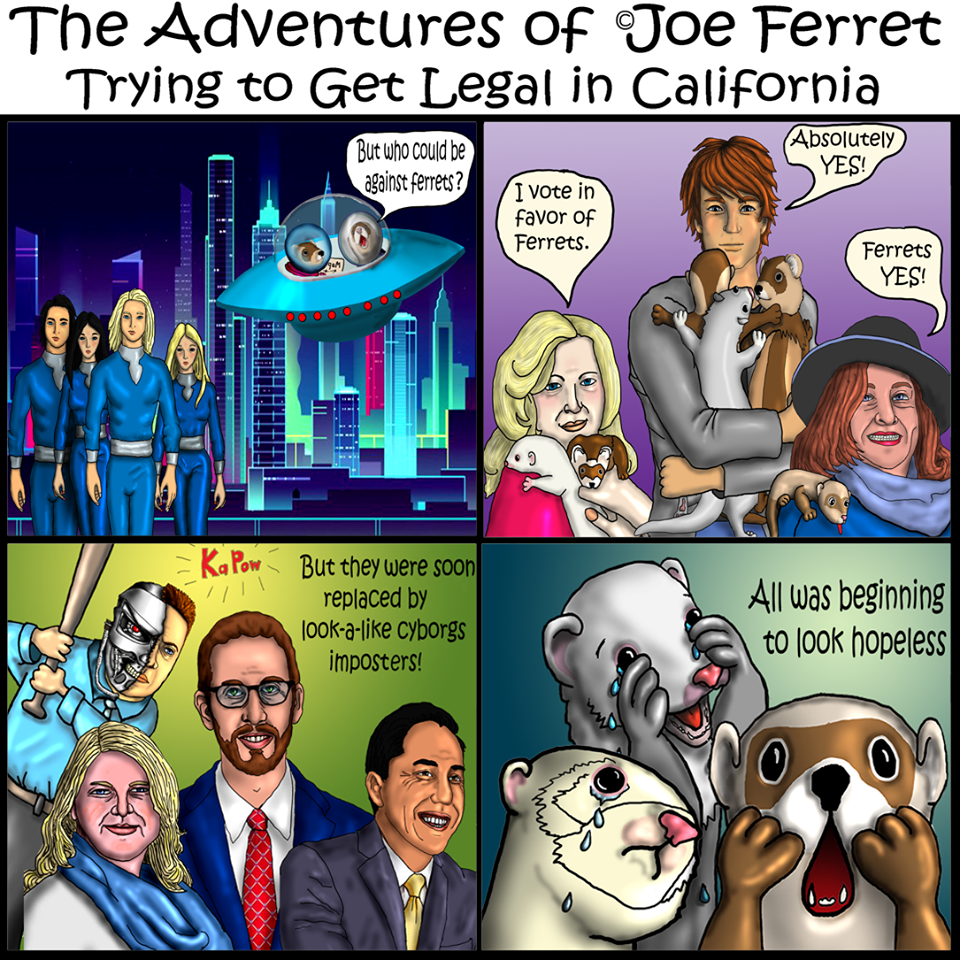 Joe Ferret, Episode 8