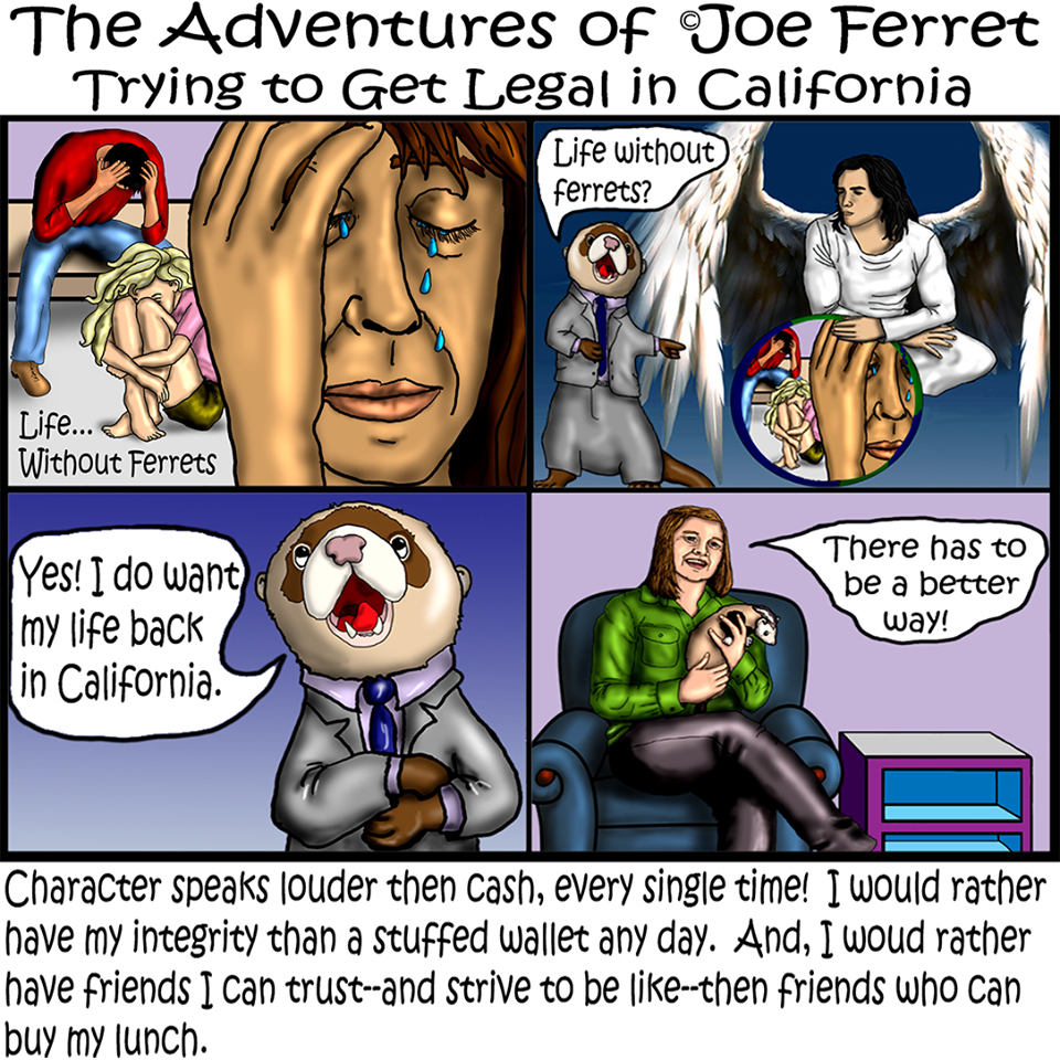 Joe Ferret Episode 10