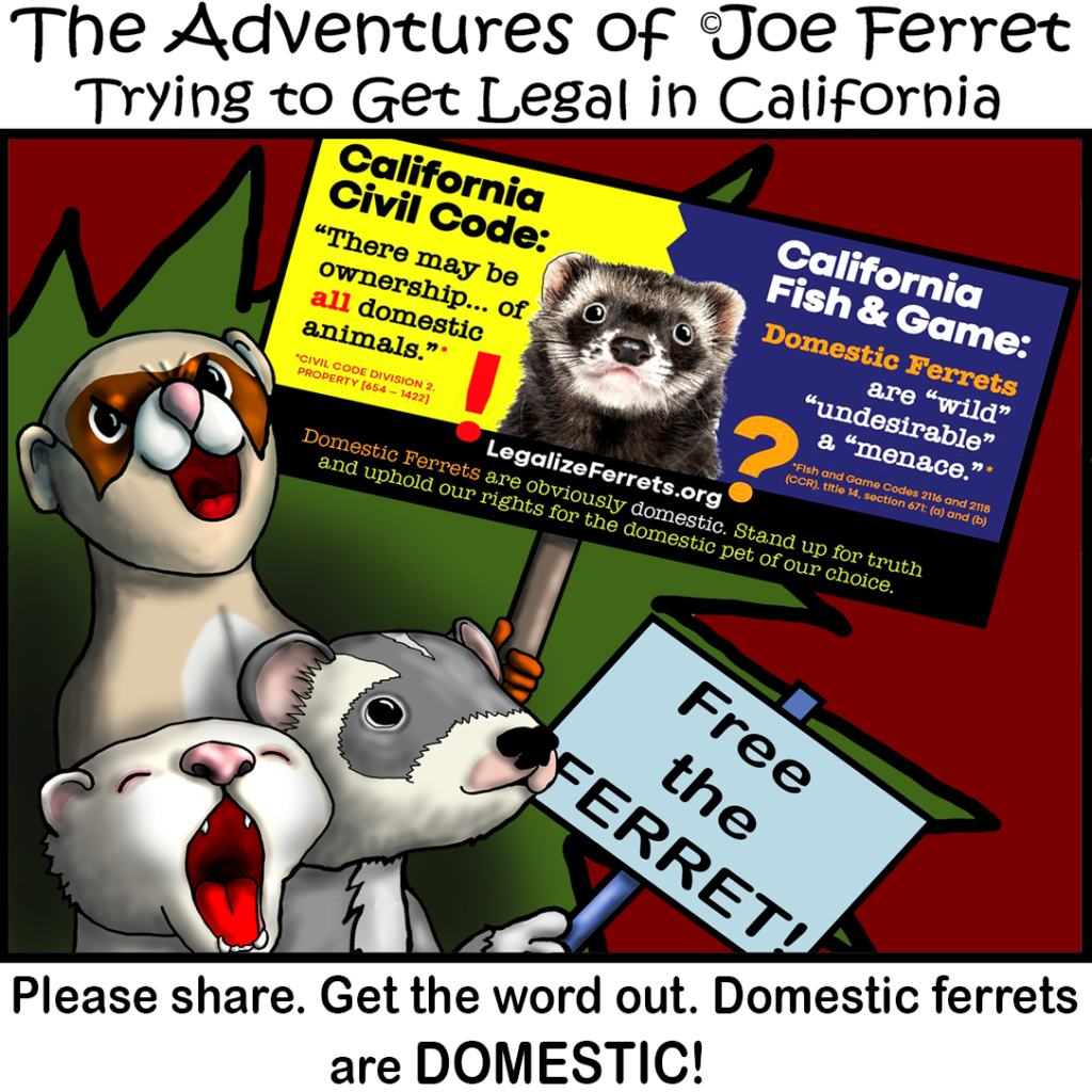 spread the ferret meme