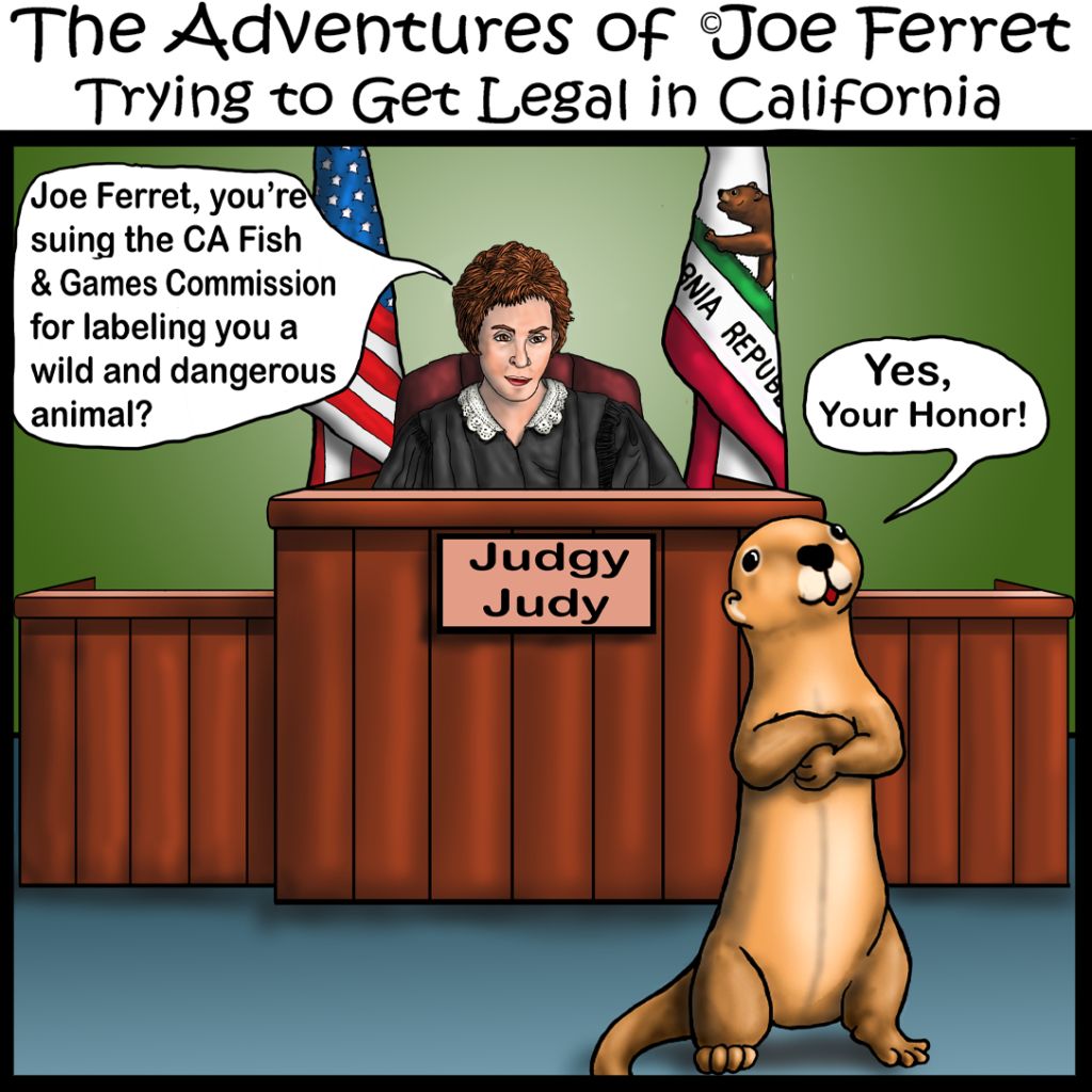 Joe Ferret on Judge Judy? We can day dream.